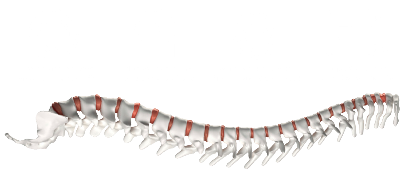 Método Coluna NAM icones botão-04