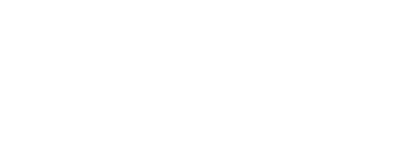 Crescimento profissional Coluna NAM-03